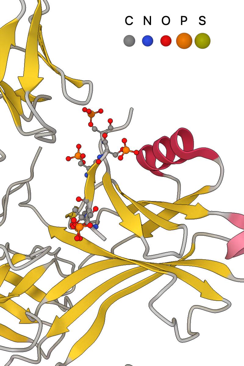 _images/cartoon_ligand_example.jpg